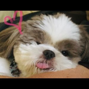 Meet your Posher, Jjanella